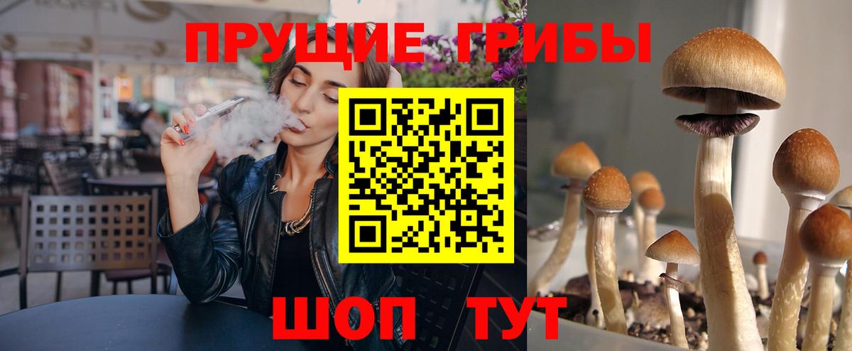 закладки  Вход с VPN  Томск  Псилоцибиновые грибы ЛСД 